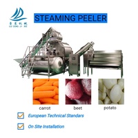 Automatische stoomschilmachine voor groenten, aardappelen, tomaten, cassave, bieten, wortelen, zoete aardappelen, 3-6T/H, wassen, reinigen, stomen, schillen