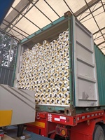 550-650G 500 * 500D 18*17 Couverture de bâche de ferme stratifiée Rouleaux de bâche en PEHD Bâche de couverture en PVC