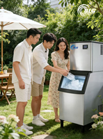 Machine à glaçons BLG à corps divisé de capacité moyenne, production de 200 kg/24h, glaçons uniformes et propres pour restaurants, supermarchés et petits commerces de détail
