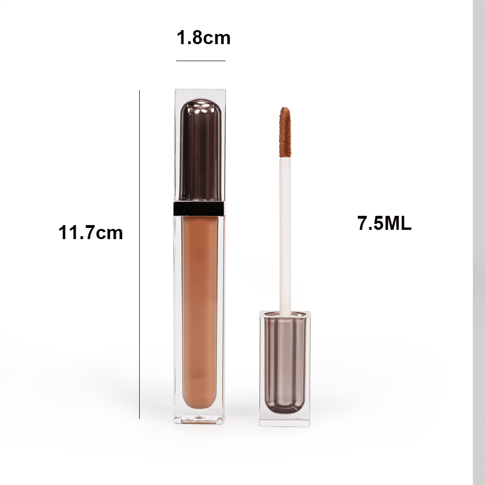 Characteristic personalization customize lipgloss luxury private label brown lip gloss supplies
