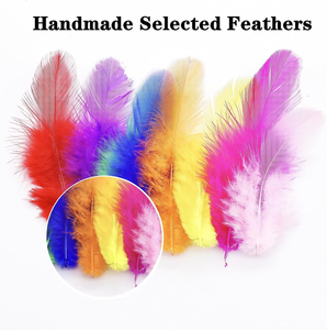 Plumas de Colores para <span class=keywords><strong>Manualidades</strong></span>, Educación Temprana, Creación Artística, Carnaval, Cosplay, Decoración de Paredes y Bodas, Proyectos DIY - Product Image 4