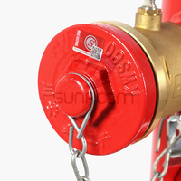 Hydrant d'incendie en fonte ductile à alimentation directe pour véranda, équipement de lutte contre l'incendie portable 100 mm pour application de protection incendie