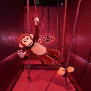 Jeu de divertissement sportif interactif en intérieur : Défi d'escalade physique, <span class=keywords><strong>Escape</strong></span> Room Quandary, Corde oscillante - Product Image 3