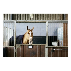 Rangkaian kuda kami menawarkan rasio kekuatan Ke berat yang unggul memastikan daya tahan tanpa mengurangi portabilitas - Product Image 1