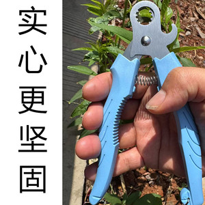 Seafood Tools Screw Cutter Snail Shears Chromium Vanadium Steel Heavy Duty For Shellfish Opening - Product Image 4