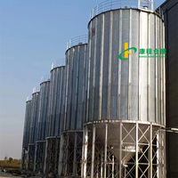Di alta qualità 500-10000tons grani di acciaio Silos mangime per pollame Pellet Silos di stoccaggio di riso Silos per la vendita