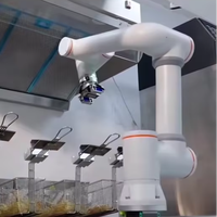 Bras de robot industriel de manutention de matériaux CNC de soudage de précision, assemblage électronique, automatisation de la restauration, boîte de vitesses de moteur 0,5 kW