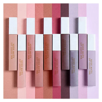 Vente chaude bio brillant à lèvres végétalien liquide rouge à lèvres nude mat liquide brillant à lèvres marques privées imperméable longue durée
