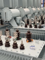 Transformateur immergé dans l'huile triphasé MV&HV de 30 kVA, 50 kVA, 80 kVA, 100 kVA, 150 kVA, 200 kVA, 250 kVA, 315 kVA, 400 kVA pour équipement industriel