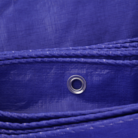 Bâche imperméable MILLION Pe en toile de jute, bleue et blanche, pour extérieur, jardin, bateau, voiture, camion, couverture de protection contre la pluie