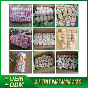 Bawang Putih Segar Berkualitas Tinggi 5.0cm, Pemasok Bawang Putih Organik Putih Segar, Bawang Putih Kupas Segar, Sayuran Ajo Fresco untuk Ekspor - Product Image 6