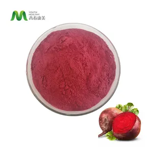 Manufacturer Supply Spray Dried Red Beet Root Powder Beetroot Organic Beetroot Powder