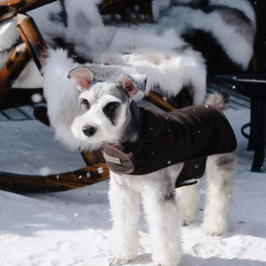 O inverno luxuoso Pet veste a jaqueta Eco-friendly do cão do estilo britânico clássico sólido do algodão para cães pequenos de tamanho médio para o Natal - Product Image 1