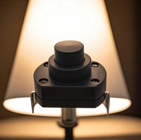 Plat 2 broches avec trou Mini marche/arrêt SMD auto-verrouillage Micro bouton poussoir interrupteur 15A 250V pour lampe de poche