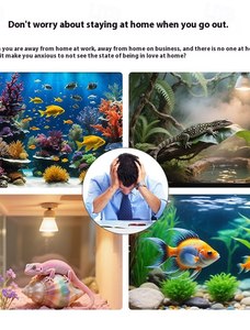 <span class=keywords><strong>2025</strong></span> Fish Tank kiểm tra <span class=keywords><strong>camera</strong></span> không dây <span class=keywords><strong>Camera</strong></span> an ninh-Home Pet Aquarium Monitor HD không dây Wi-Fi <span class=keywords><strong>camera</strong></span> trong nhà/ngoài trời - Product Image 5