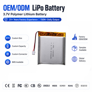 Аккумулятор LiPo 104050 3.7V 2900mAh повышенной емкости для медицинских устройств и GPS-трекеров, OEM-производство на заказ - Product Image 1