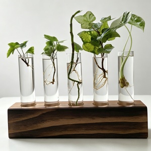 Support de table en bois massif pour tubes à essai, décoration de table, support pour plantes et fleurs avec tubes en verre transparent, pot hydroponique pour verdure et fleurs - Product Image 4