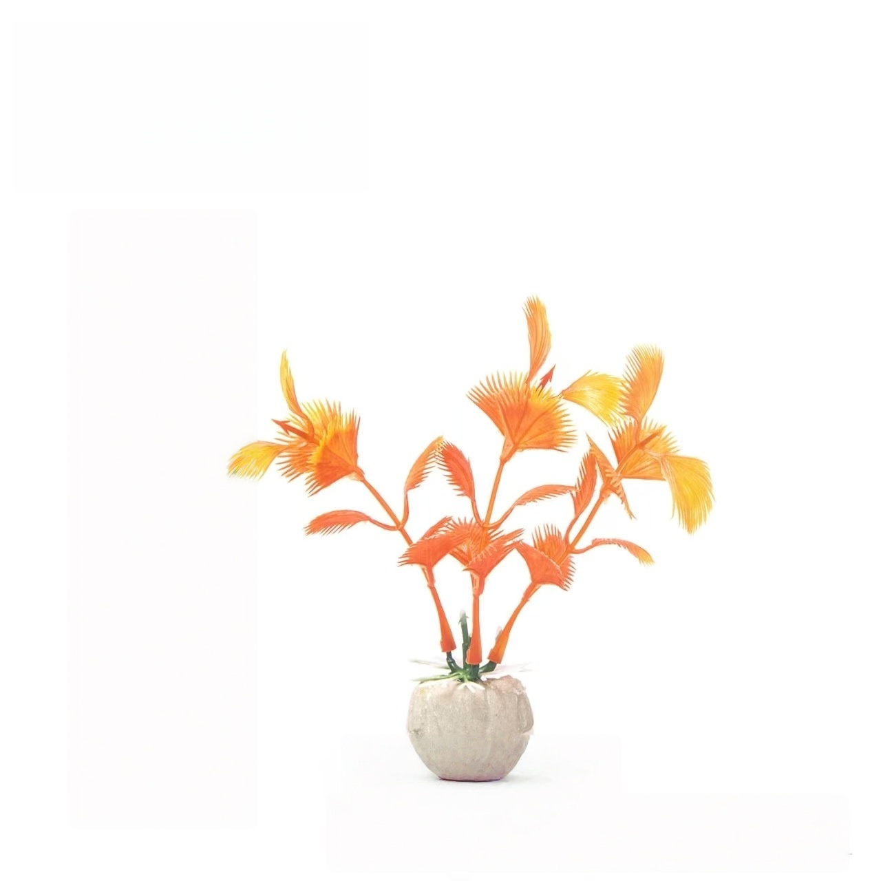 Orange-96