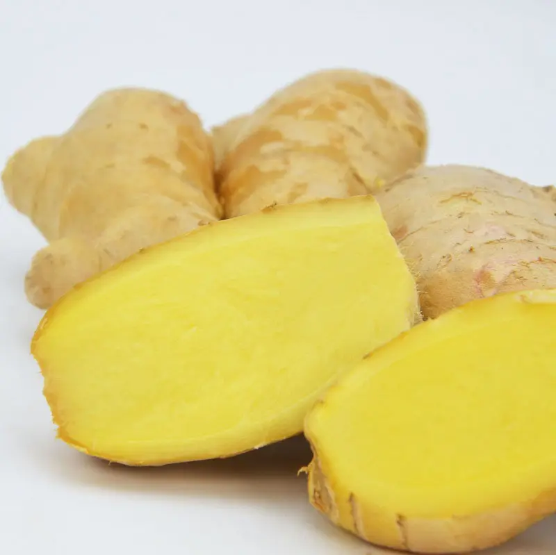 High quality fresh ginger air-dried ginger on the Chinese market