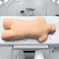 Modèle d'entraînement complet pour ponction veineuse sur le torse, simulateur de ponction veineuse interne (jugulaire, sous-claviculaire) pour l'enseignement médical