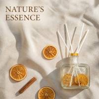 Diffuseur à bâtonnets en verre 100 ml, fait main, avec design floral préservé, huile d'aromathérapie naturelle, parfum longue durée pour la décoration intérieure