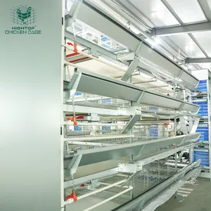 Turnkey Solutions Poultry Farming Equipment H Type Automatic Battery Cages For Layers For Farms In Ghana