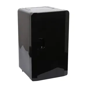 Mini refrigerador 6l, refrigerador portátil, refrigerador compacto, enfriador eléctrico y calentador, refrigerador de coche Ac/DC