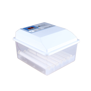 Máy Ấp Trứng AC /DC 12V Hoàn Toàn Tự Động Điều Khiển Lồng Ấp Gia Cầm Trứng Để Bán - Product Image 6