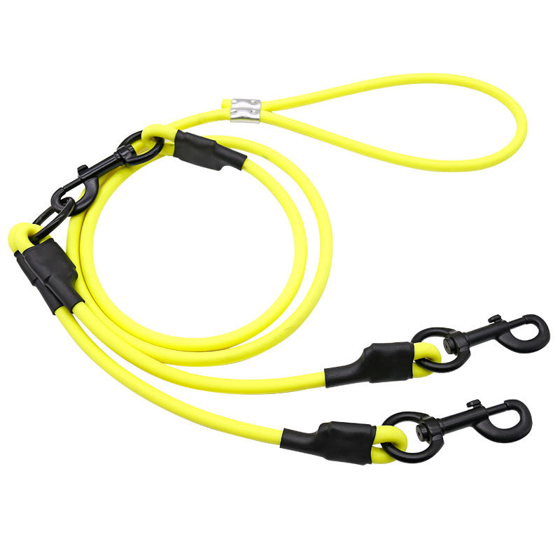 Yellow dog leads with 2 dogs coupler