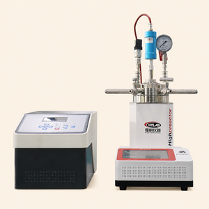 Équipement de récipient sous pression de type spécial, réacteur de laboratoire 12,5 MPa avec disque de <span class=keywords><strong>rupture</strong></span> de sécurité et manomètre - Product Image 4