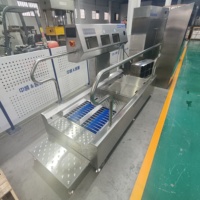 Estación de Higiene Automática Estándar Global para Vestuarios Industriales - Solución Llave en Mano de Fábrica
