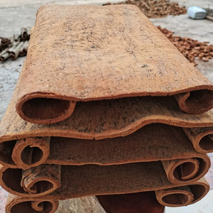 Écorce de cannelle pelée, stockage en endroit frais et sec, processus de séchage AD, épices et herbes uniques - Product Image 2