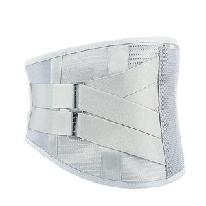 Steel plate lumbar support belt, autumn and winter style, lumbar support belt for men and women, lumbar support, mesh lumbar - Product Image 3