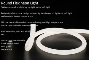 Smart Magic Addressable <strong>RGB</strong> Neon Light Ws2811 TM1914 DMX512 <strong>RGB</strong> RGBW IC Silicone <strong>LED</strong> Neon Lights - Product Image 4