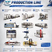 Nouvelle ligne de production de remplissage isobare d'eau gazeuse aromatisée automatique NewPeak – Usine de fabrication de machines de remplissage de boissons