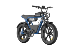 OEM 750W 48V Bicicleta Eléctrica de Largo Alcance con Suspensión Delantera y Trasera RX-T8 1, Motor Potente y Gran Autonomía, Equipada con un Motor de 750W - Product Image 1