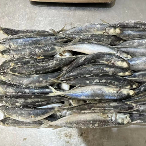 Galunggong Layang scad แช่แข็ง7-9ชิ้น8-10ชิ้น<span class=keywords><strong>ปลา</strong></span>แช่แข็ง muroaji/รอบ scad ทั้งหมดสำหรับขาย - Product Image 2