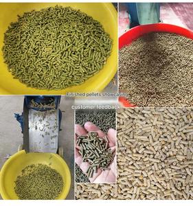 เครื่องอัดเม็ดอาหารสัตว์แบบดีเซลรุ่นใหม่ พร้อมหัวอัดแบบแบน ทำจากสแตนเลส สำหรับอาหารสัตว์จากข้าวโพด หญ้า ข้าวสาลี และกากถั่วเหลือง - Product Image 4