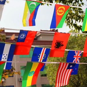 Bannière de petit drapeau <span class=keywords><strong>du</strong></span> <span class=keywords><strong>monde</strong></span> <span class=keywords><strong>2022</strong></span> personnalisé, fabricant, vente en gros, drapeaux de différents pays, banderole - Product Image 3