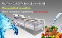 Automatische Industriële Fruitgroente Reinigingsproductielijn Voor Sojabonenmeel Maïsnoot Waskern Motorpomplager