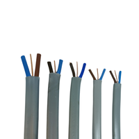 BVVB 2.5mm te Câble Plat Double et Terre 100m 50m 1.5mm Twin et Terre BS6004 Double Câble Plat
