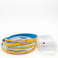 Lampu Strip LED COB 320 5V 8mm IP20 dengan Kotak Baterai, Ultra Terang, Kepadatan Tinggi, Fleksibel, Nirkabel, Portabel, Dekorasi Dalam & Luar Ruangan