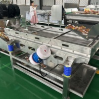 Automatische Doorlopende Groente Fruit Wasmachine Voor Appels Wortelen Aardappelen Industriële Voedselverwerkende Fabriek Motormotor Kern