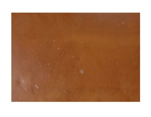 Rotifères congelés pour les jeunes poissons - Product Image 1