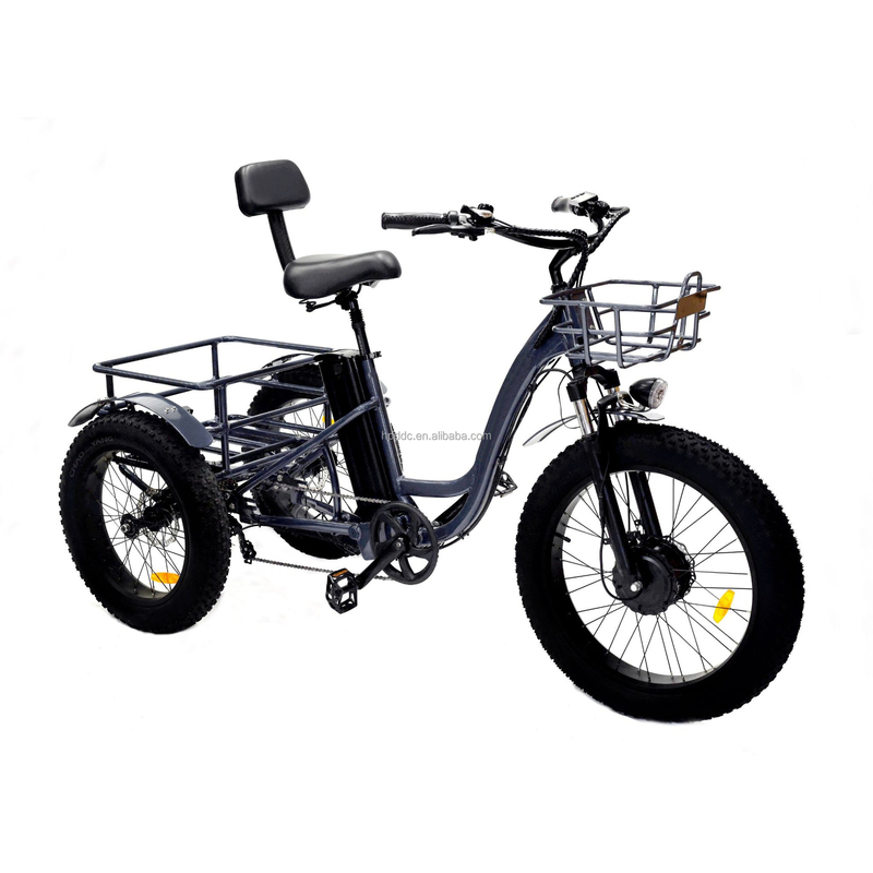 Fashion Design Retro Style 48V 500w