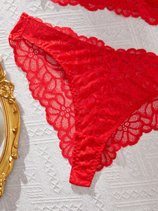 Red Floral Lace Bra and Thong <b>Set</b> Women's <b>Sexy</b> Lingerie Underwire Bralette With Embroidery Detailing Semi Sheer Intimates - Product Image 6