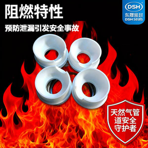 Joint d'étanchéité de soupape Dongsheng DSH en PTFE, résistant aux hautes pressions, anti-poussière et étanche, pour pipeline de gaz naturel - Product Image 2
