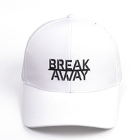 Gorra de Béisbol de Alta Calidad 100% Algodón, Estilo Deportivo Urbano, Ajustable, con Logotipo Personalizado, Bordado a Mano