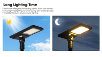 Lampe solaire de rue hybride professionnelle tout-en-un IP65 détachée 40W 66OOLM avec télécommande et détecteur de mouvement pour usage extérieur