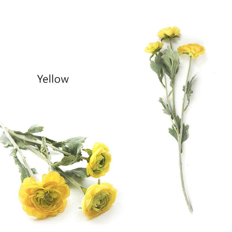 Giallo
